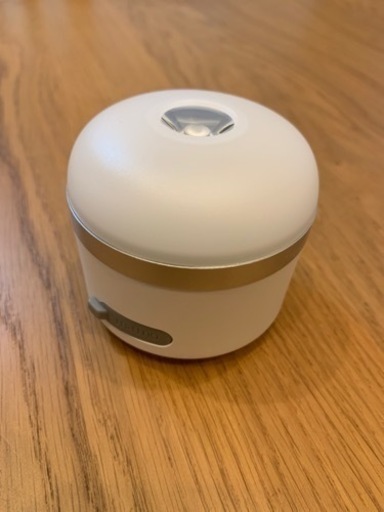 EcoFlow アウトドアランタン LEDランタン キャンプランタン USB充電式