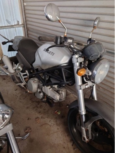 ドゥカティ (代理)