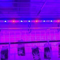 【商談中】Hygger 水槽用　LEDライト　植物育成ライト 　スライド式の画像