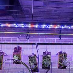 【商談中】Hygger 水槽用　LEDライト　植物育成ライト 　スライド式の画像