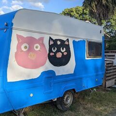【Piglets】福岡のマイクロブタカフェのスタッフ募集の画像