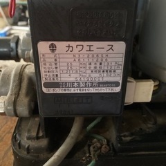 カワエースの画像