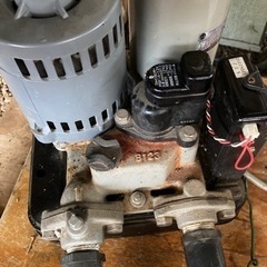 カワエースの画像