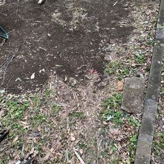 土無理上げますの画像