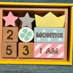 ミルキートイ  メモリービスケット エドインター 積木 月齢フォト