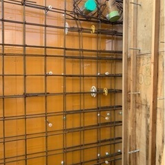 型枠大工（急募）