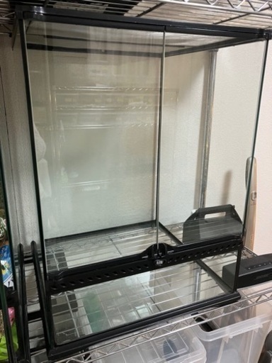グラステラリウム　4560 美品 決まりました