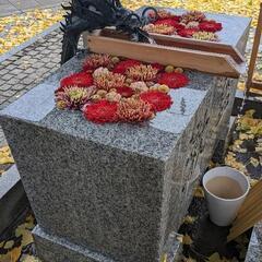 お友達募集中です(◍•ᴗ•◍)✧*。 − 埼玉県