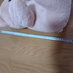 ピンクベアの画像