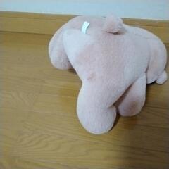 ピンクベアの画像