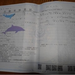 車検長い！！２３年式！！人気の8人乗り！マツダプレマシー！の画像