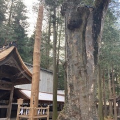 女性の薄毛（faga)で悩んでおります。