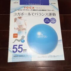 ヨガボール　55cm    取り扱い説明書だけ不足してます