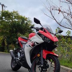 YAMAHA　R25　東京府中市よりの画像