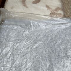 無料　3畳　ホットカーペット　ワタナベ工業の画像