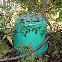 【横浜自宅引取限定】【無料】【至急】庭の植木、芝生、庭石、コンポスト、全部の画像