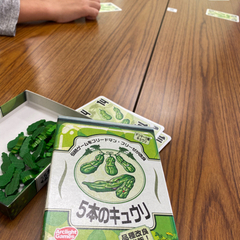 【初心者歓迎】新春🎍ボドゲ女子会【夜開催】