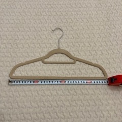 引き渡し決定済:ハンガー42本セット　ニトリ/スリーコインズ　の画像