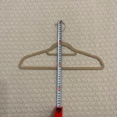 引き渡し決定済:ハンガー42本セット　ニトリ/スリーコインズ　の画像