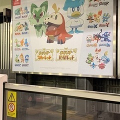 ポケカ交流会！