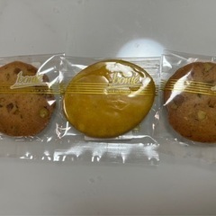 譲渡予定者決定　クッキーお譲りします