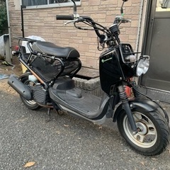 ズーマー(ジョルノクレア)‼️格安‼️