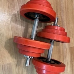 ダンベル 22kg×2