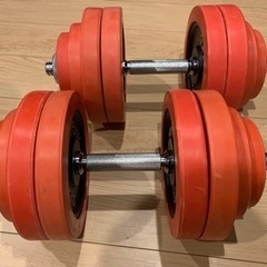 【お取引中】IROTEC ダンベル60kg(30kg×2)の画像