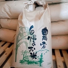 お米　20kg   玄米