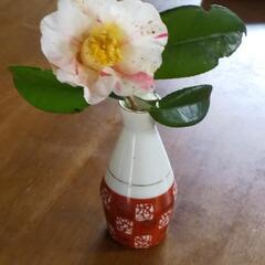 徳利　花瓶