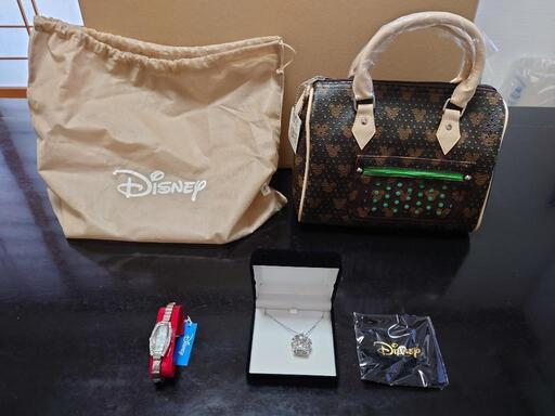 ディズニーバッグセット