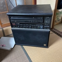 【決まりました】レーザーディスク　カラオケ