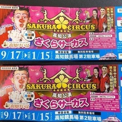 【本日限定😳😳】さくらサーカス　特別招待券