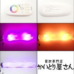 CD112 日昇 フロアライト ジェリーフィッシュ 波型 レインボーの画像