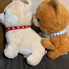豆柴　ビック　ぬいぐるみ　5匹　まとめ売りの画像