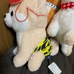 豆柴　ビック　ぬいぐるみ　5匹　まとめ売りの画像