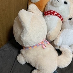 豆柴　ビック　ぬいぐるみ　5匹　まとめ売りの画像