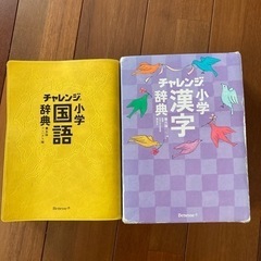 チャレンジ国語、漢字辞典