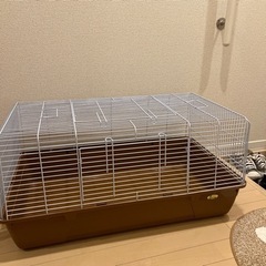 5000円でゲージ他全てセットで売ります！小ペットグッズ🦔