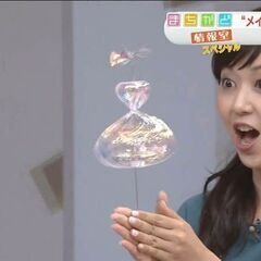 アート作品　組み立て　自宅で自由時間に出来ます