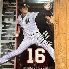 千葉ロッテマーリンズ涌井選手のクリアファイル
