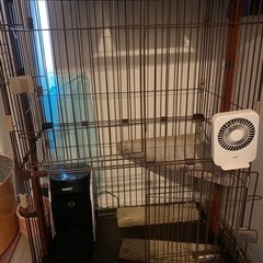 猫　ゲージ　ネコ