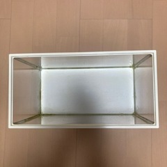 水槽40センチサイズ　GEXの画像
