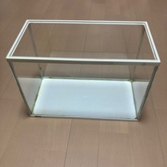 水槽40センチサイズ　GEX