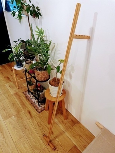 【極美品】TEORI テオリ コートハンガー　ハンガーラック　ハンガーかけ　ハンガーポール　帽子かけ