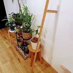 【極美品】TEORI テオリ コートハンガー　ハンガーラック　ハンガーかけ　ハンガーポール　帽子かけ