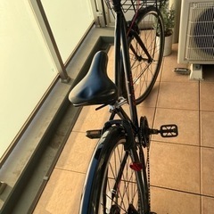 ジュニア自転車　シュラインSCHLEIN26インチの画像