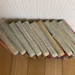 イナズマイレブン全巻＆劇場版カラー本セットの画像