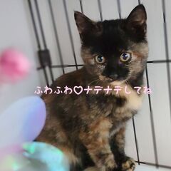 大人しく手のかからない御利口さん☆