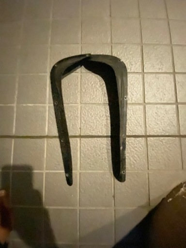 シグナス　カーボン　^_^ー